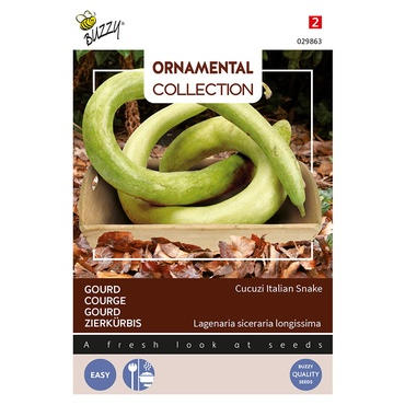 Buzzy® Ornamental Zierkürbis Cucuzi Italian Snake