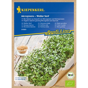 Microgreens Weißer Senf