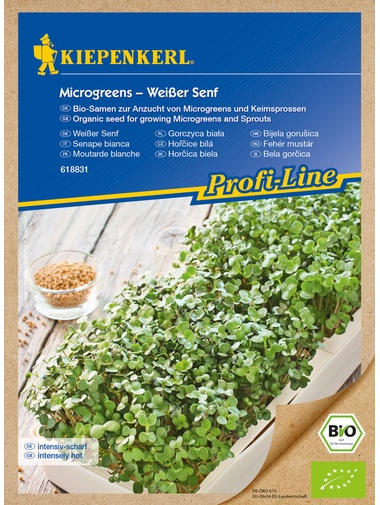 Microgreens Weißer Senf