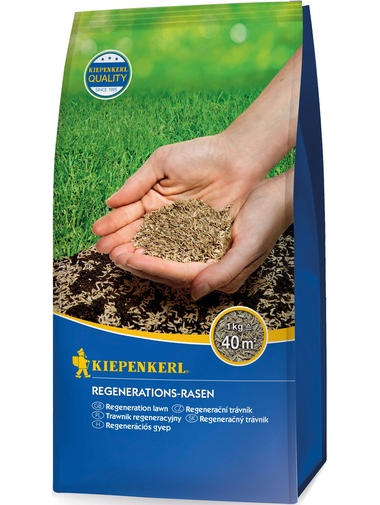 Kiepenkerl Regenerations-Rasen, 1 kg