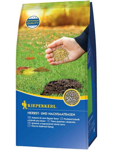 Kiepenkerl Herbst- und Nachsaatrasen, 1 kg