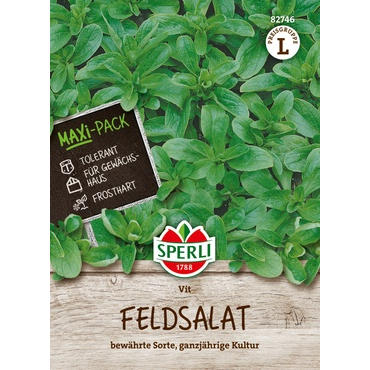 Feldsalat Vit, MaxiPack 25g