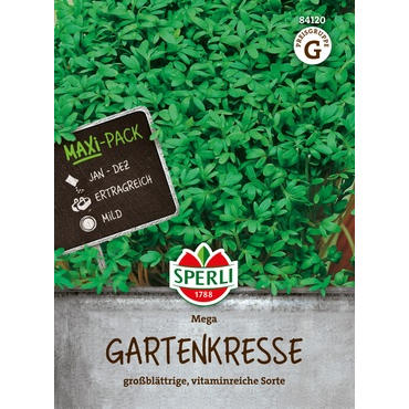 Gartenkresse Mega, MaxiPack 50g