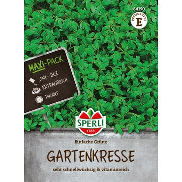 Gartenkresse Einfache Grüne, MaxiPack 50g