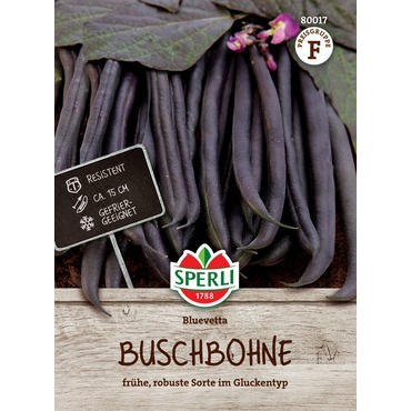 Buschbohne Bluevetta