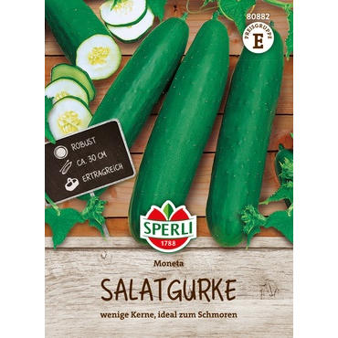 Salatgurke Moneta