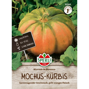 Mochus-Kürbis Muscade de Provence