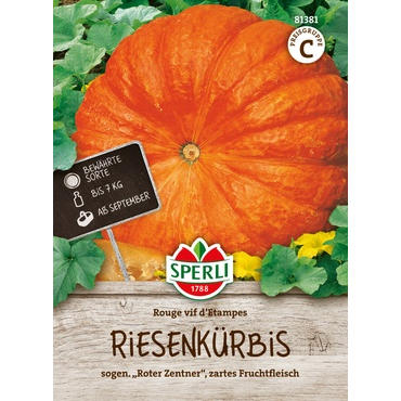 Riesenkürbis Rouge vif d'Etampes