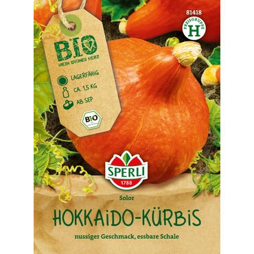 Hokkaido-Kürbis, F1