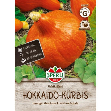 Hokkaido-Kürbis Uchiki Kuri