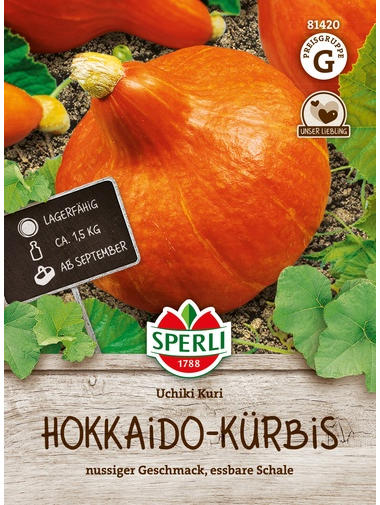 Hokkaido-Kürbis Uchiki Kuri