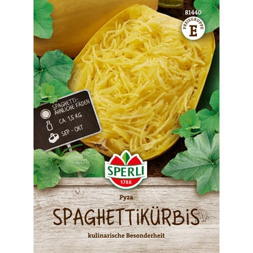 Spaghettikürbis Pyza