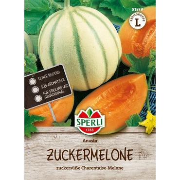 Zuckermelone Anasta, F1