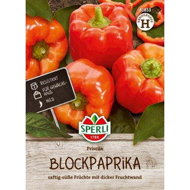 Blockpaprika Priscila, F1