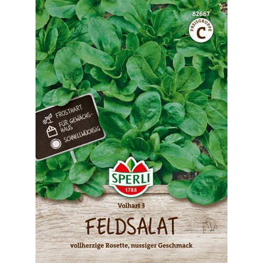 Feldsalat Volhart 3