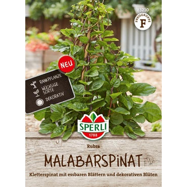 Malabarspinat Rubra