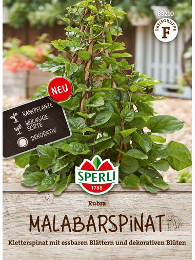 Malabarspinat Rubra