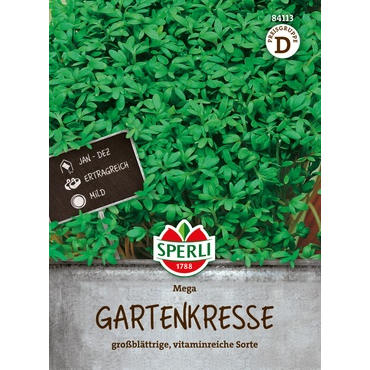 Gartenkresse Mega