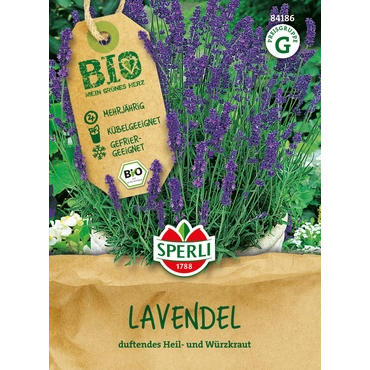 Lavendel