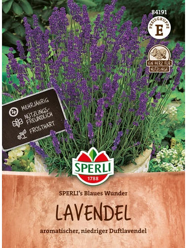 Lavendel SPERLI's Blaues Wunder