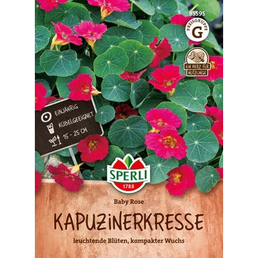 Kapuzinerkresse Baby Rose