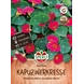 Kapuzinerkresse Baby Rose