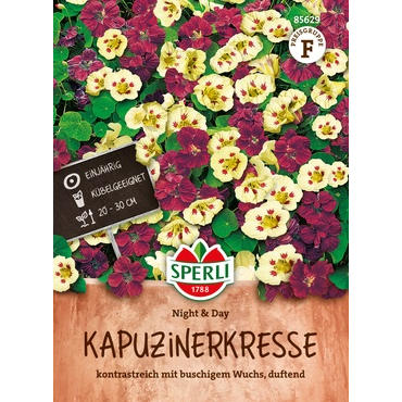 Kapuzinerkresse Night & Day