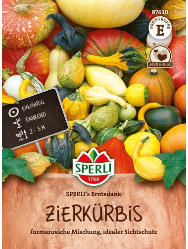 Zierkürbis SPERLI's Erntedank