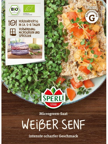 Microgreen-Saat Weißer Senf