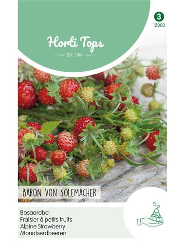 Monatserdbeeren - Typ Rügen