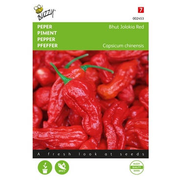 Pfeffer Bhut Jolokia rot