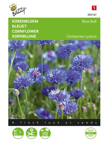 Kornblume Blue Ball, gefüllte