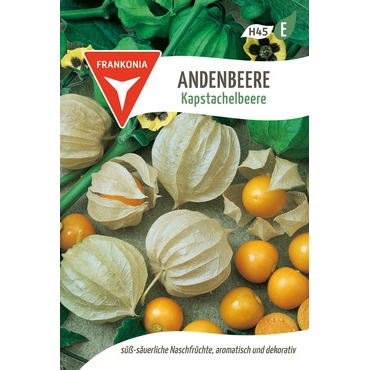 Andenbeere Kapstachelbeere