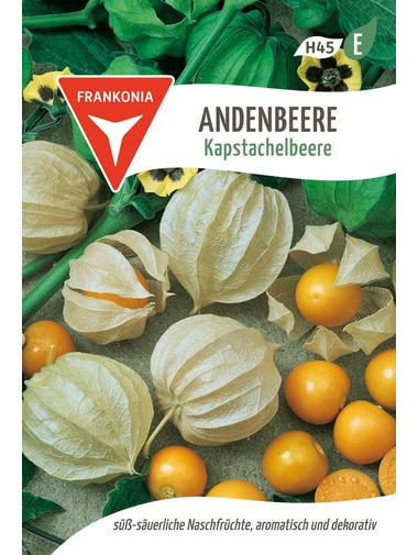 Andenbeere Kapstachelbeere