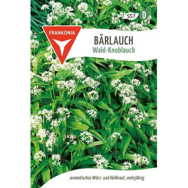 Bärlauch Wald-Knoblauch