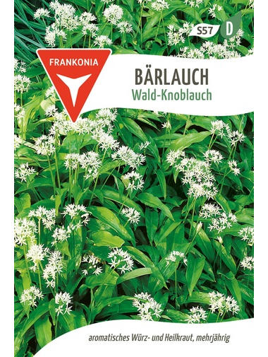 Bärlauch Wald-Knoblauch