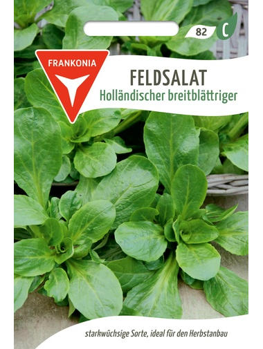 Feldsalat Holländischer breitblättriger