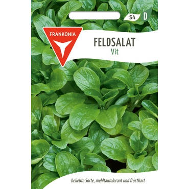 Feldsalat Vit