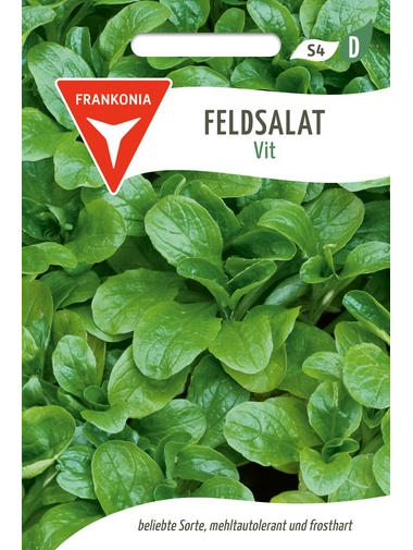 Feldsalat Vit