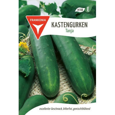 Kastengurken Tanja