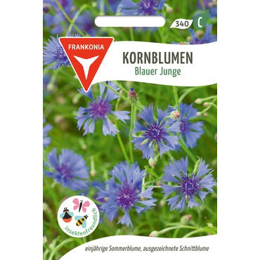 Kornblumen Blauer Junge