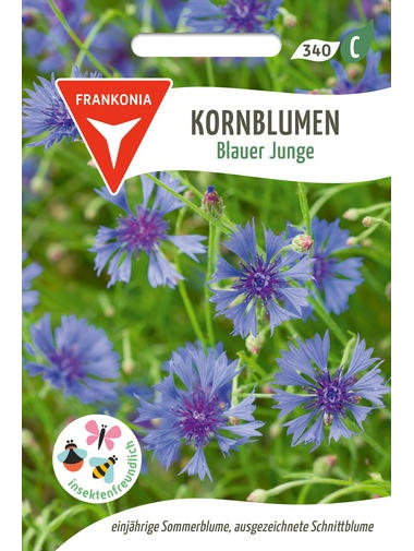 Kornblumen Blauer Junge