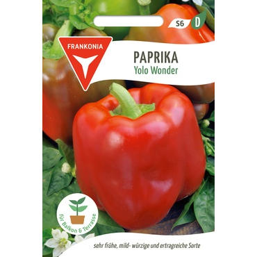 Paprika Yolo Wonder