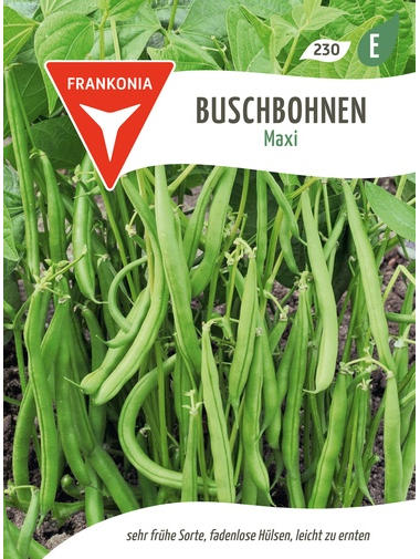 Buschbohnen Maxi