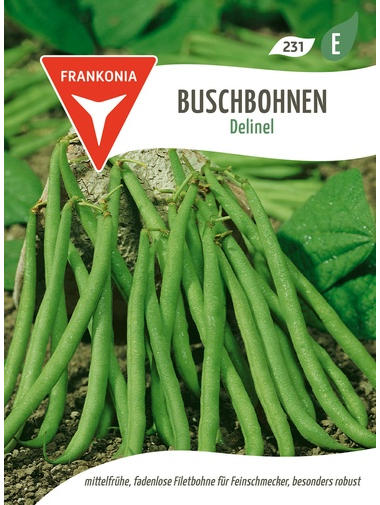 Buschbohnen Delinel